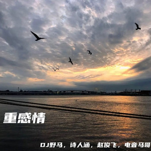 外企富婆和健硕黑人3p
